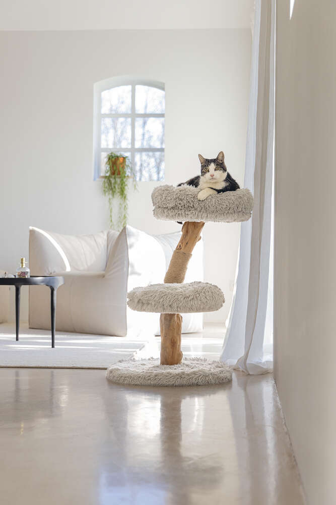 Designed by Lotte Kratzbaum Zora